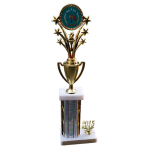 2015 SVIAC International Multi Arts Tournament First Prize